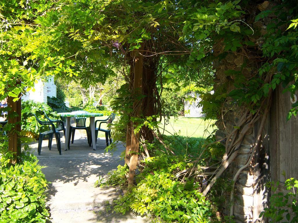 种植园住宿加早餐酒店 Lemon Cove 外观 照片